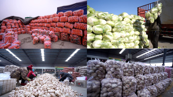 菜市场--农贸市场--蔬菜批发