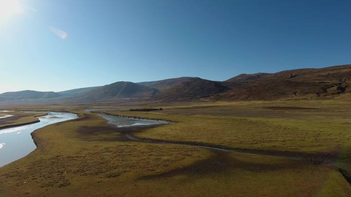 西藏草原4K航拍