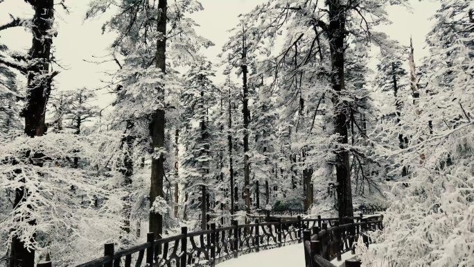 瓦屋山冬韵