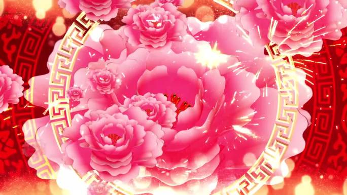 花儿为什么这样红绚丽大气牡丹绽放视频