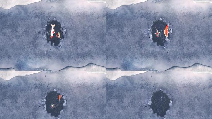 破冰小鱼跳跃三维动画