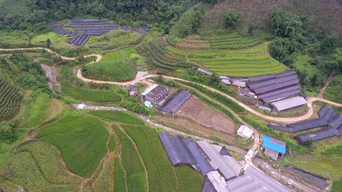 石斛种植基地航拍纱网种植基地