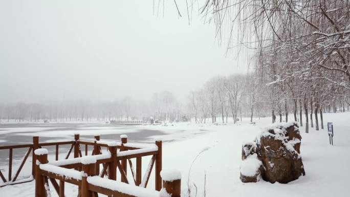 实拍冬季公园雪景