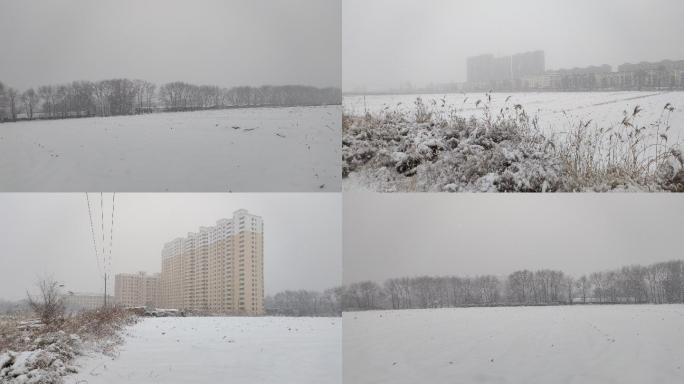 冬天农村北方的雪田野冬天的雪