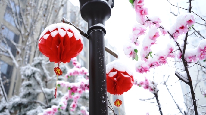 小区下雪天雪景