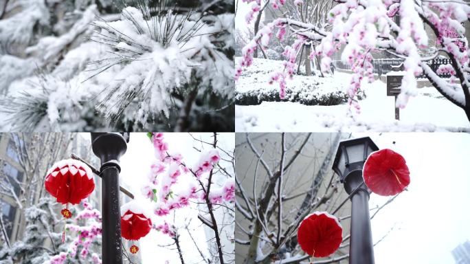 小区下雪天雪景