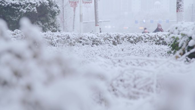 【原创】雪天出行安全