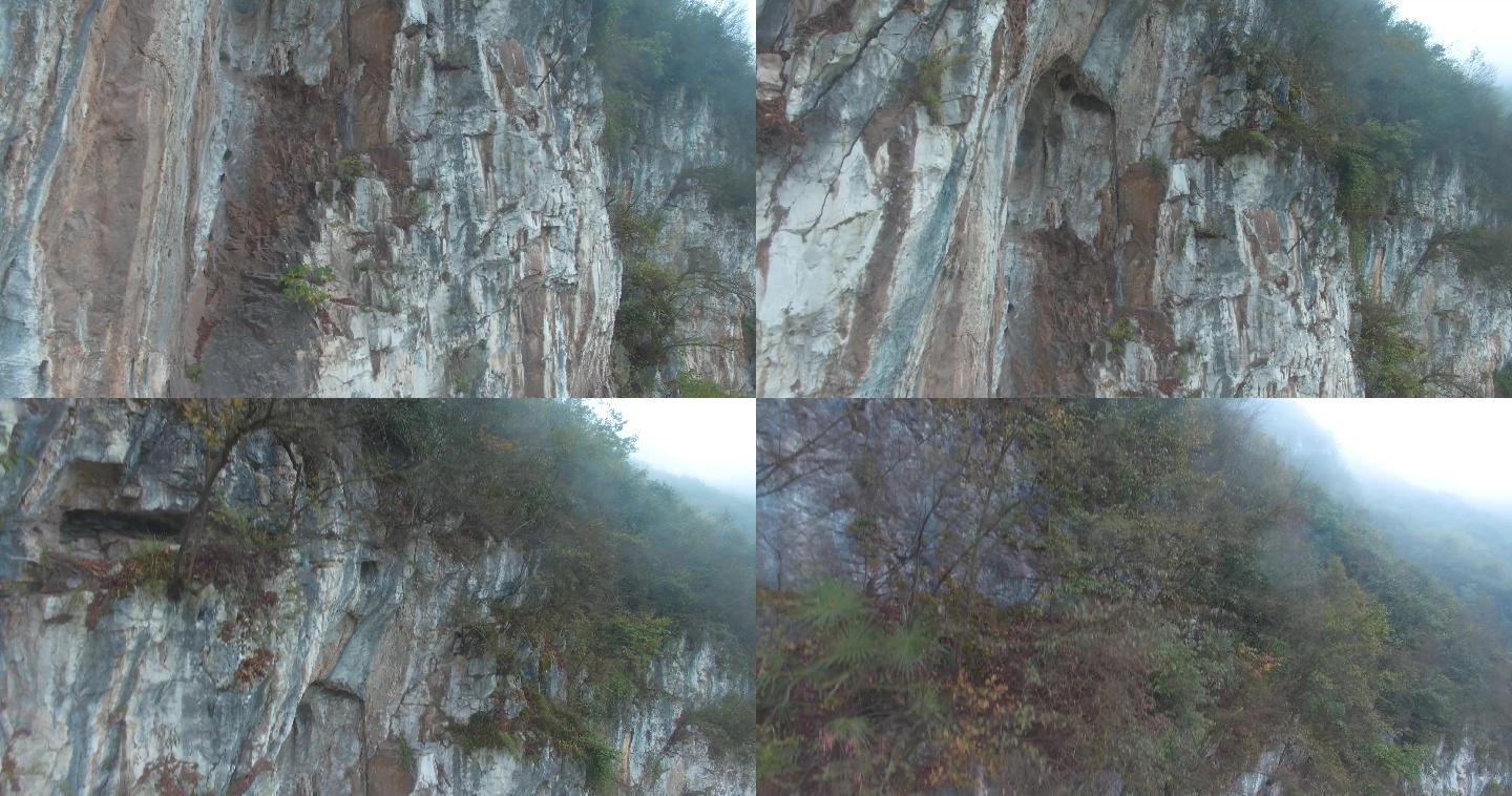 4k航拍，陡峭的悬崖峭壁和树枝