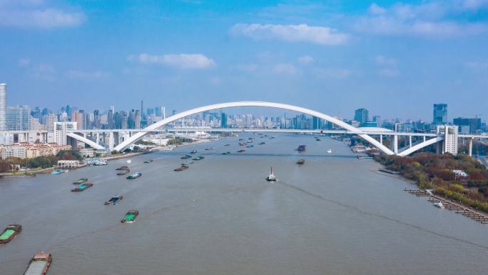 上海徐汇滨江黄浦江卢浦大桥延时航拍摄影