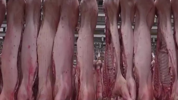 批发猪肉储备肉