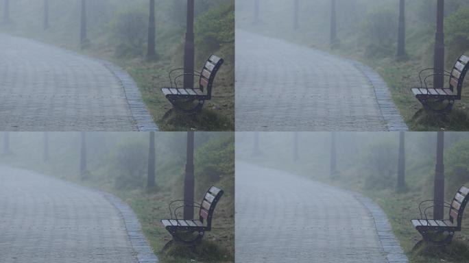 4K雾中小道边的长椅