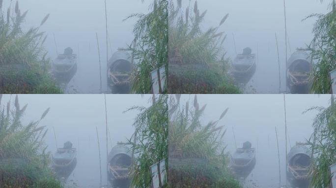 4K浓雾中的河边芦苇乌篷船02