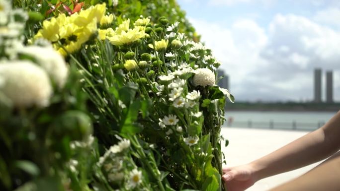 海边祭奠献花