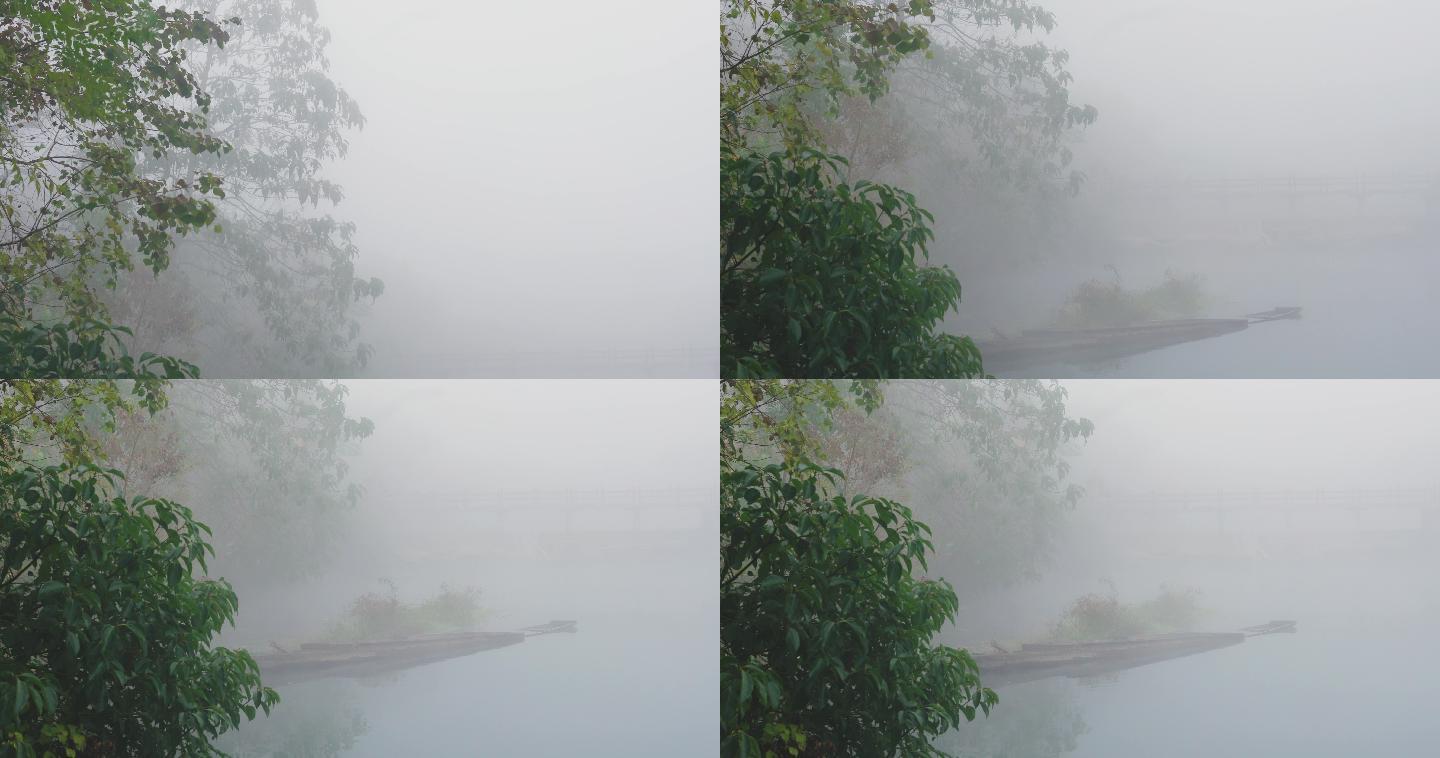 4K大雾河边的树木小船01