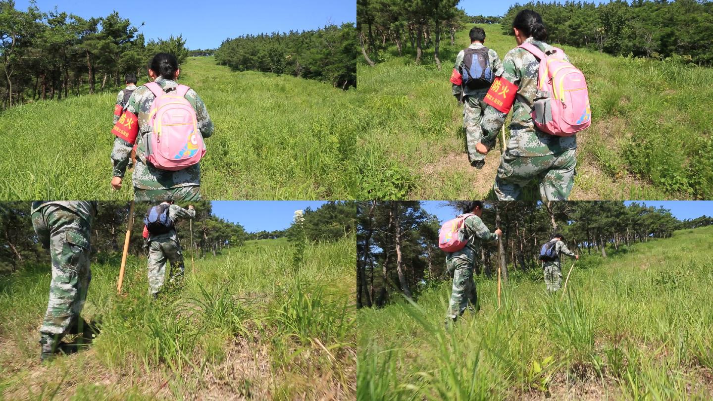 护林员巡山护林防火-巡山014