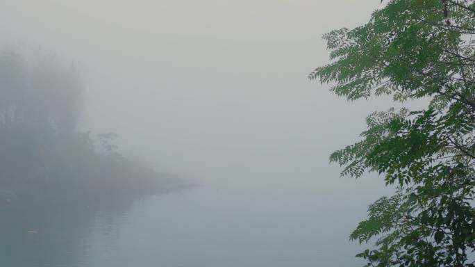 4K浓雾大雾河边景色01