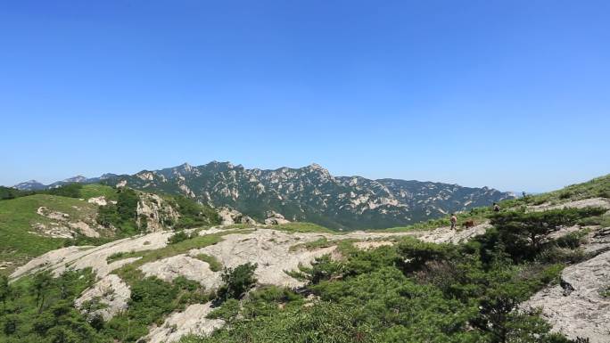 护林员巡山护林防火-大全景004