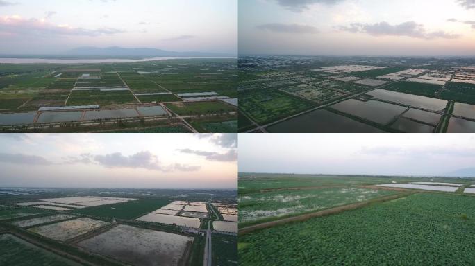 陕西渭南大荔黄河湿地4k航拍