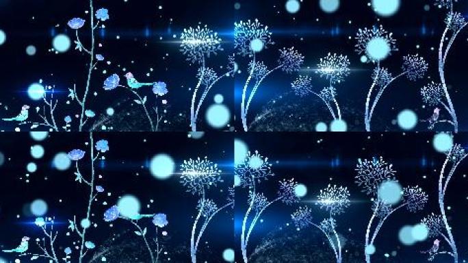 粒子神秘花朵光斑夜空