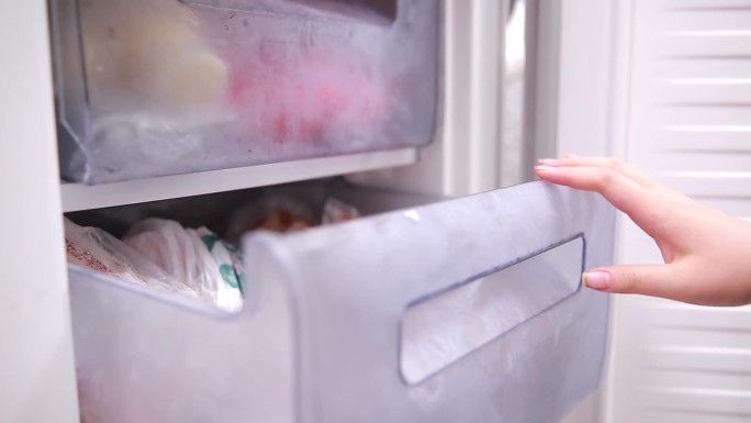 冰箱冷藏冷冻储存电器家用电器