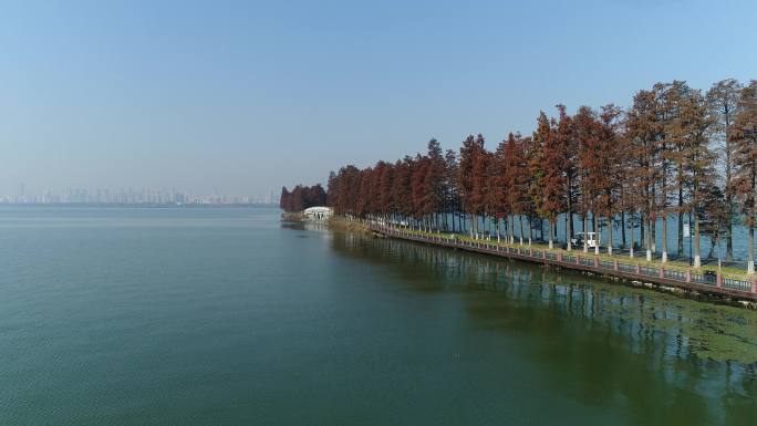 航拍东湖风景-桥