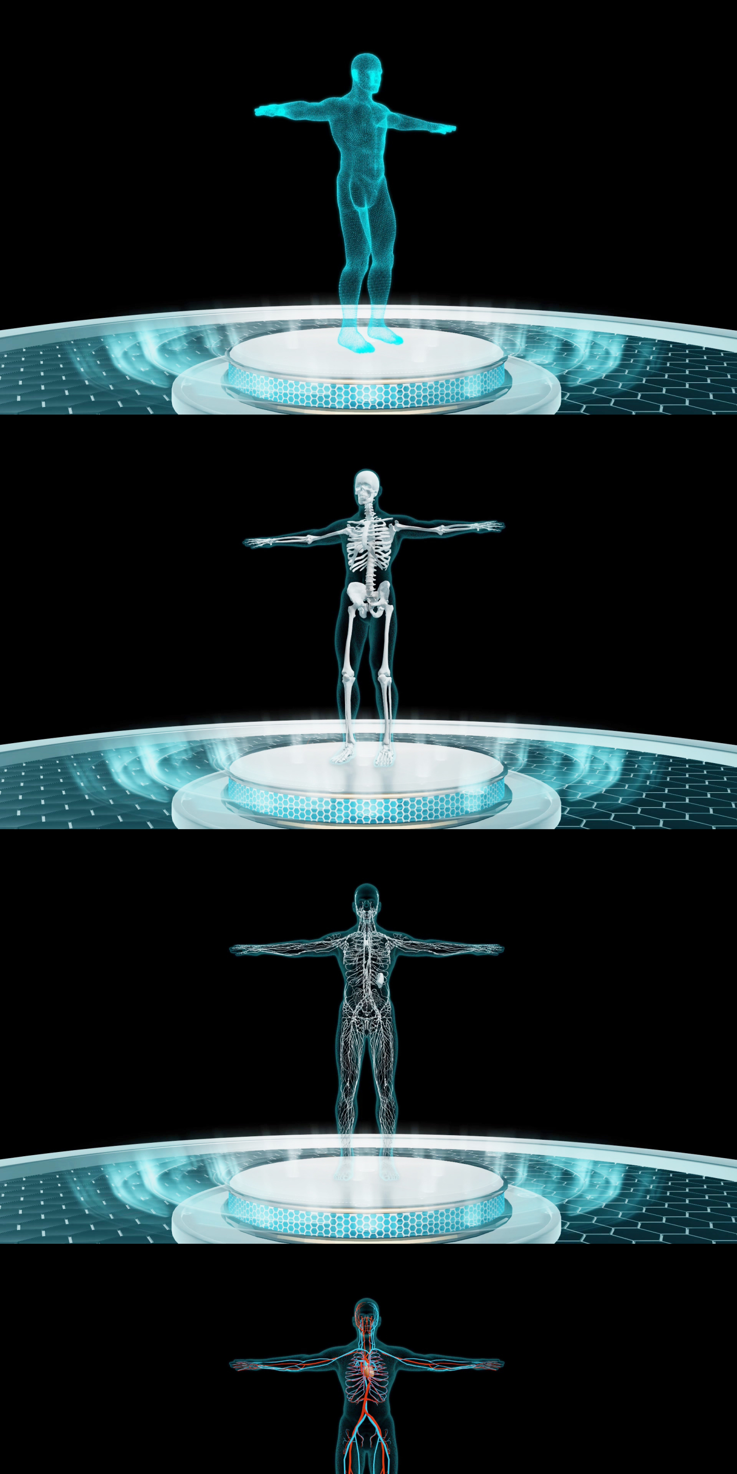 男性高科技人体器官展示通道版