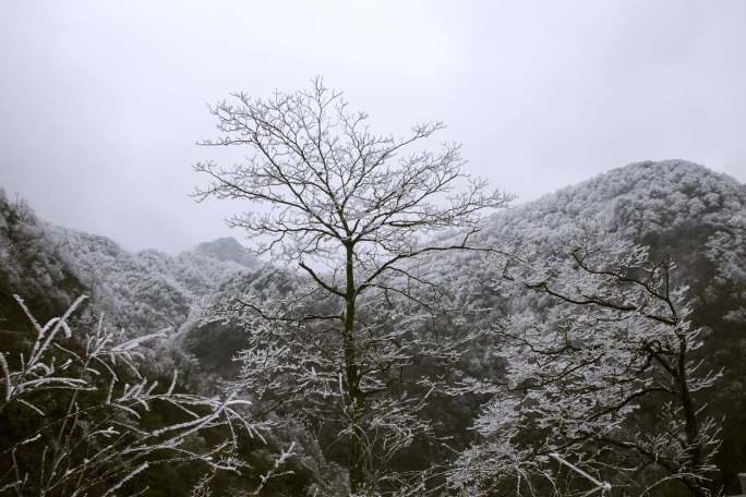 绵阳千佛山冰天雪地雪景延时风光