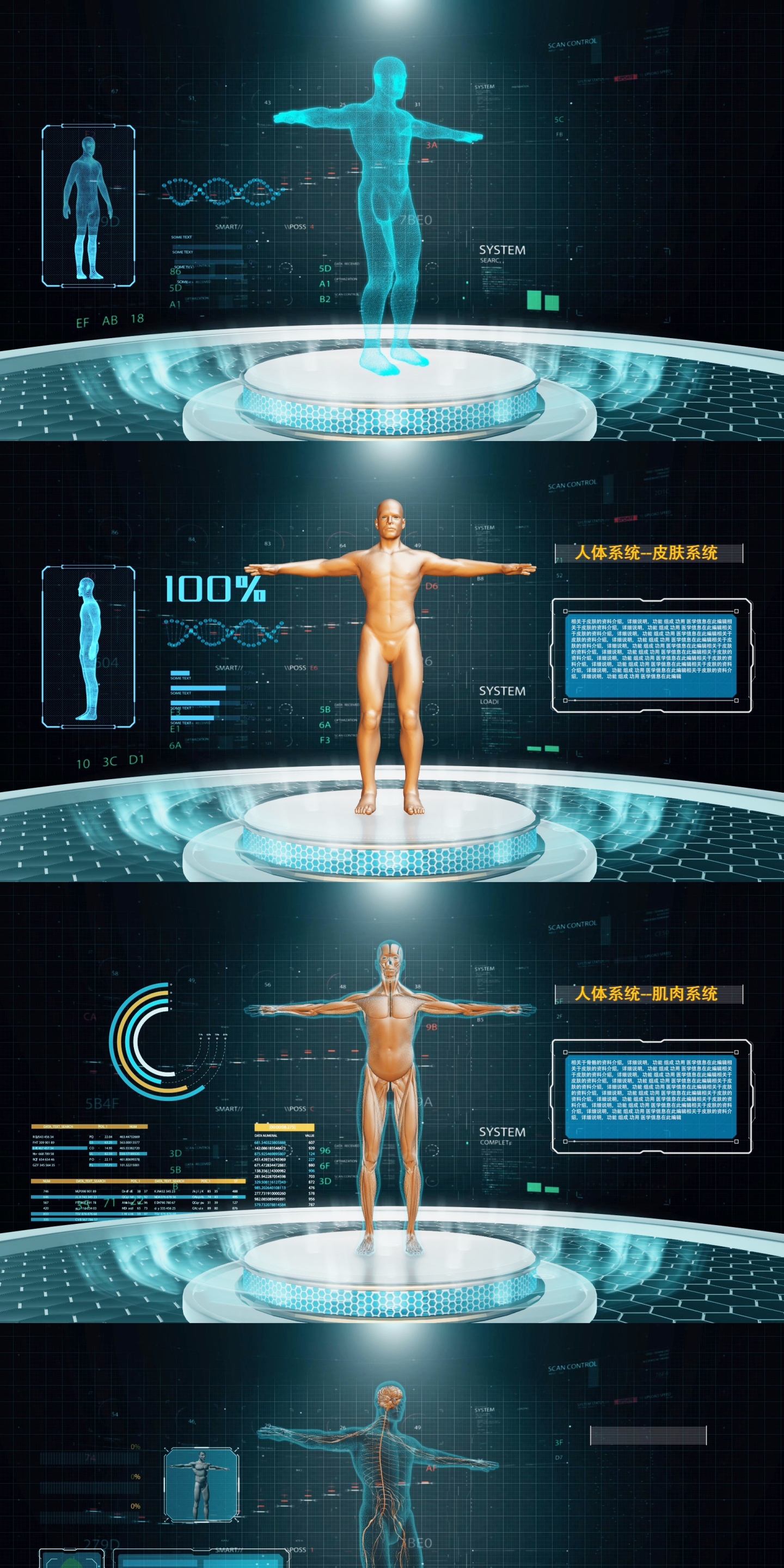高科技人体器官展示合成版ae模板