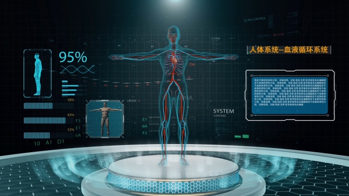 高科技人体器官展示合成版ae模板