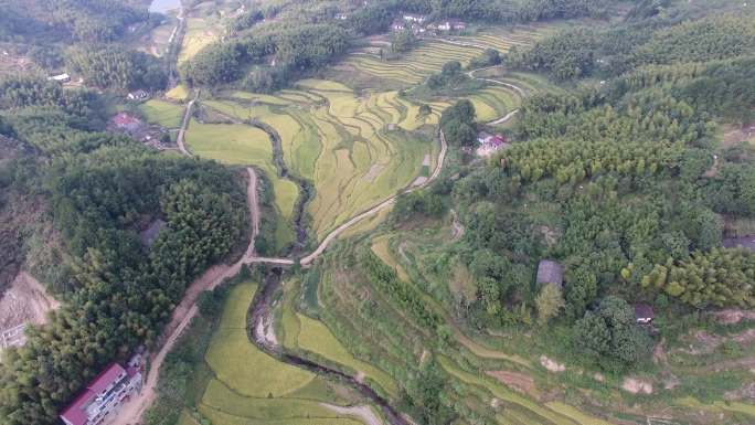 4k山林稻田航拍