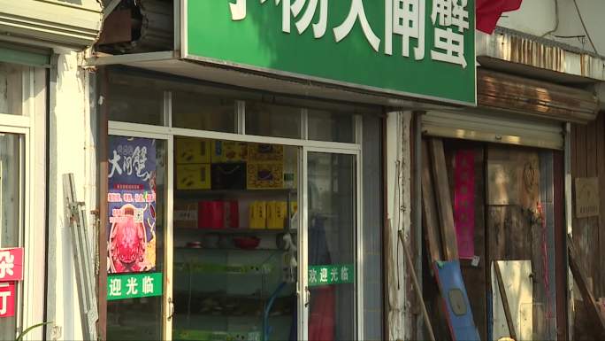 城镇街景县城螃蟹店茶叶店高淳