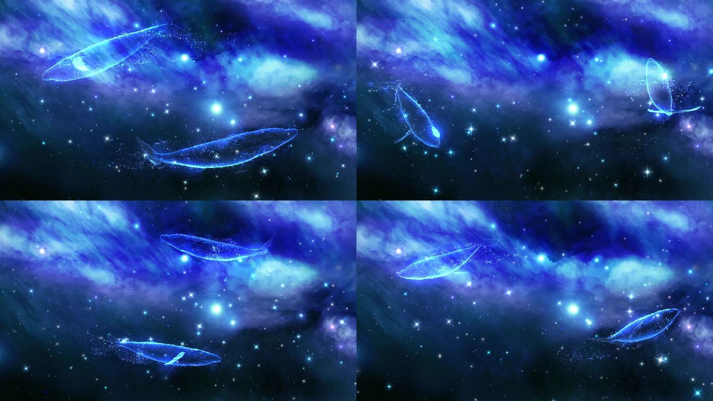 星空宇宙光影梦幻鲸鱼背景循环