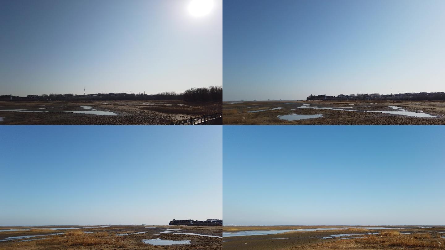 冬季秦皇岛湿地公园