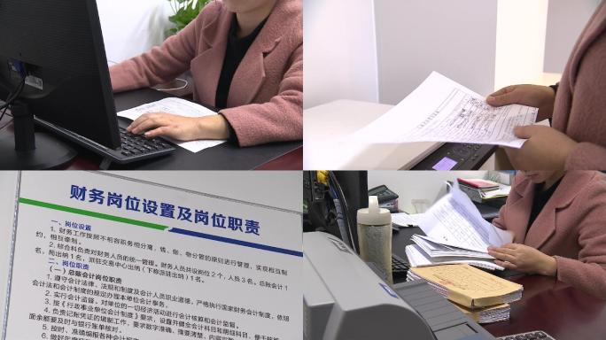 会计财务室财务查账账册反腐