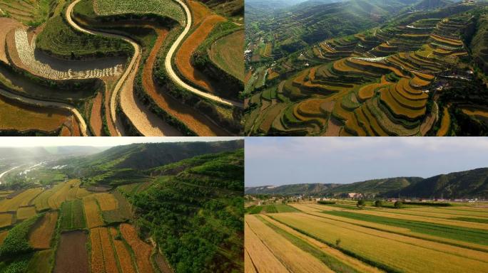 黄土高原梯田