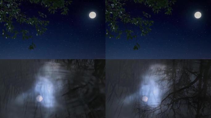 夜晚月亮水中月