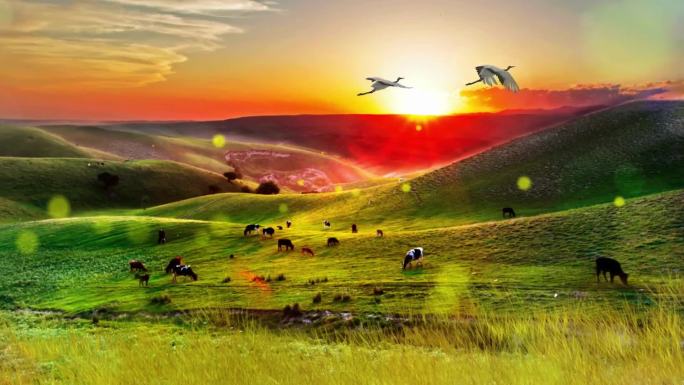 乌兰图雅-草原上升起不落的太阳配乐