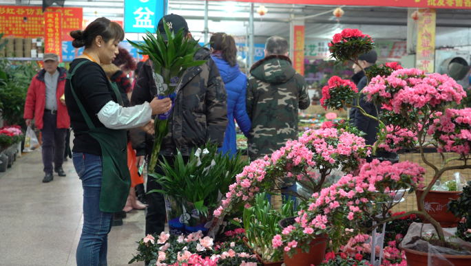 4K热闹的花卉市场-鲜花市场