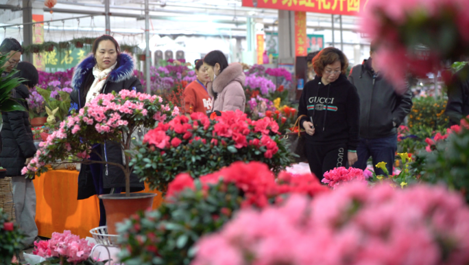 4K花卉市场-鲜花市场-买花人群