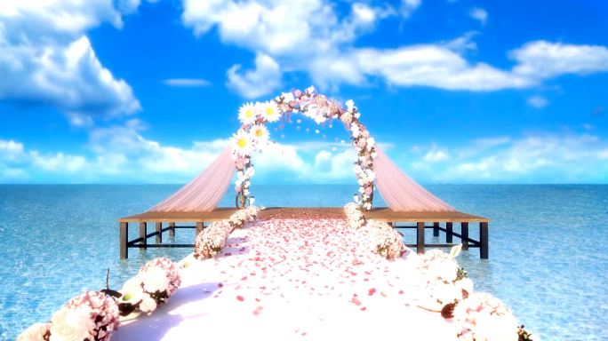 推镜头-海边婚礼