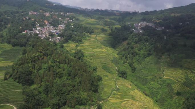 梯田山间住户航拍