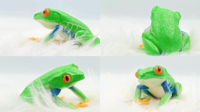 青蛙塑料树脂玩具模型自然生物