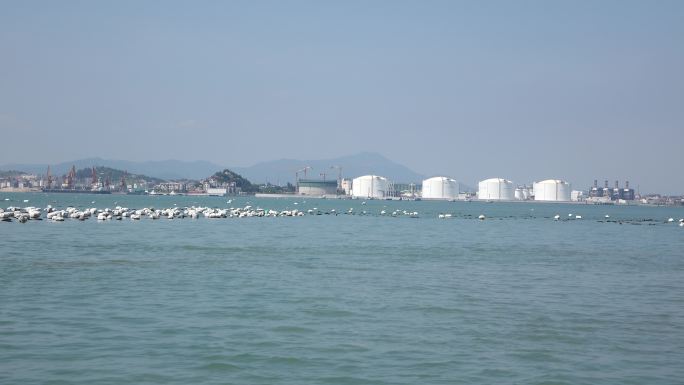 海港石化炼油厂