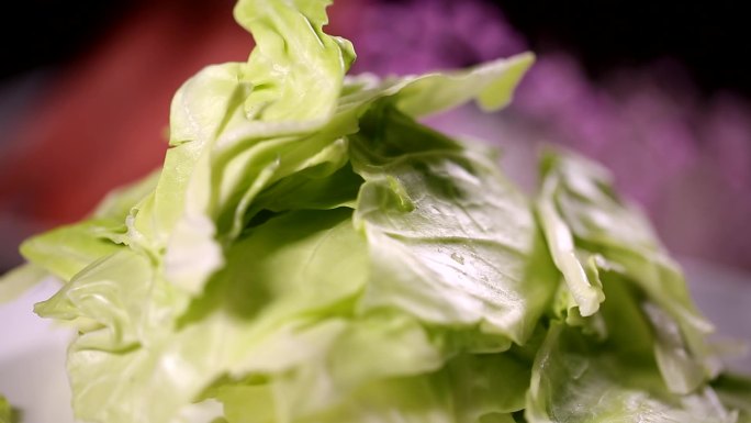 蔬菜素菜包菜圆白菜叶绿素卡路里