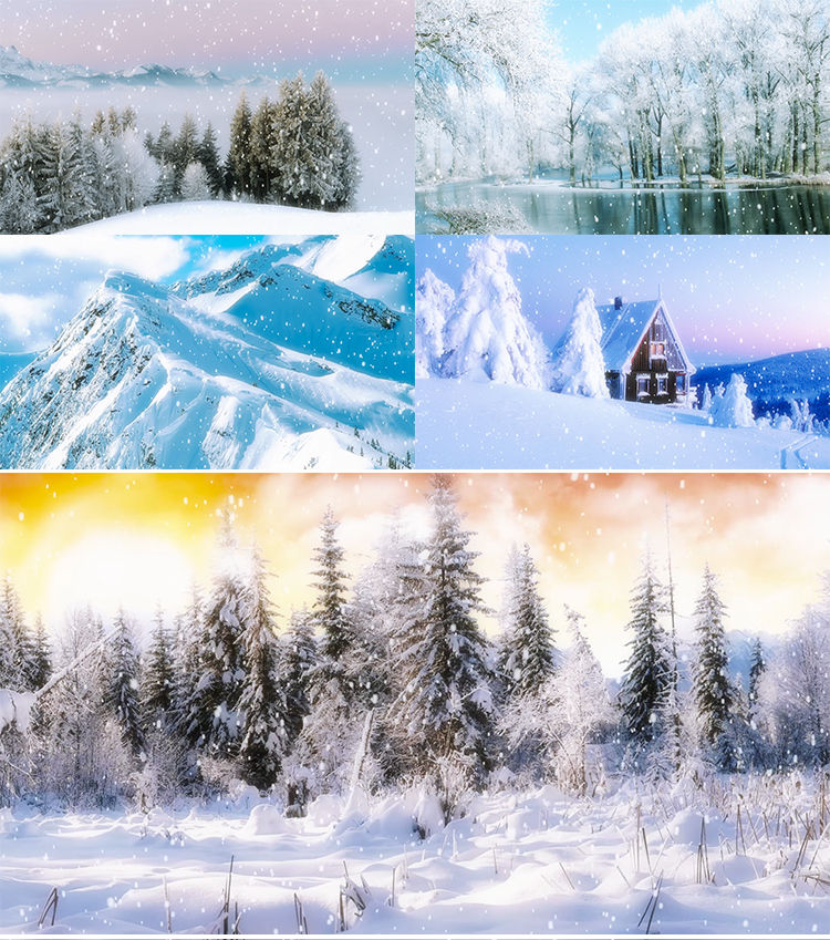 唯美梦幻冬季冬天雪景下雪雪花飘飘视频 19x1080 高清视频素材下载 编号 舞台背景 Vj师网www Vjshi Com