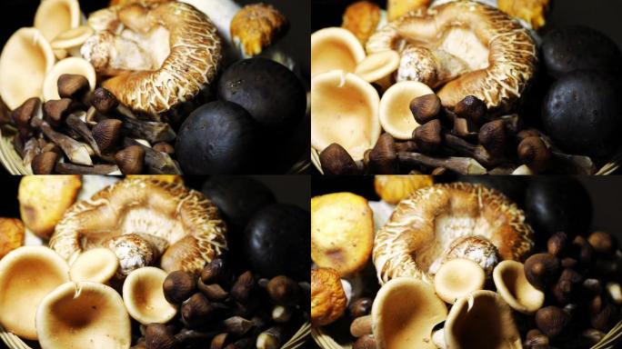 蘑菇山珍补品食用菌类