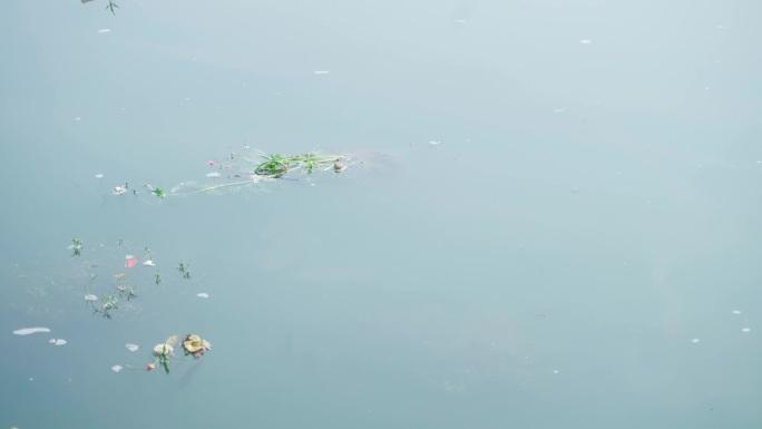 河面湖面上的垃圾4K环保
