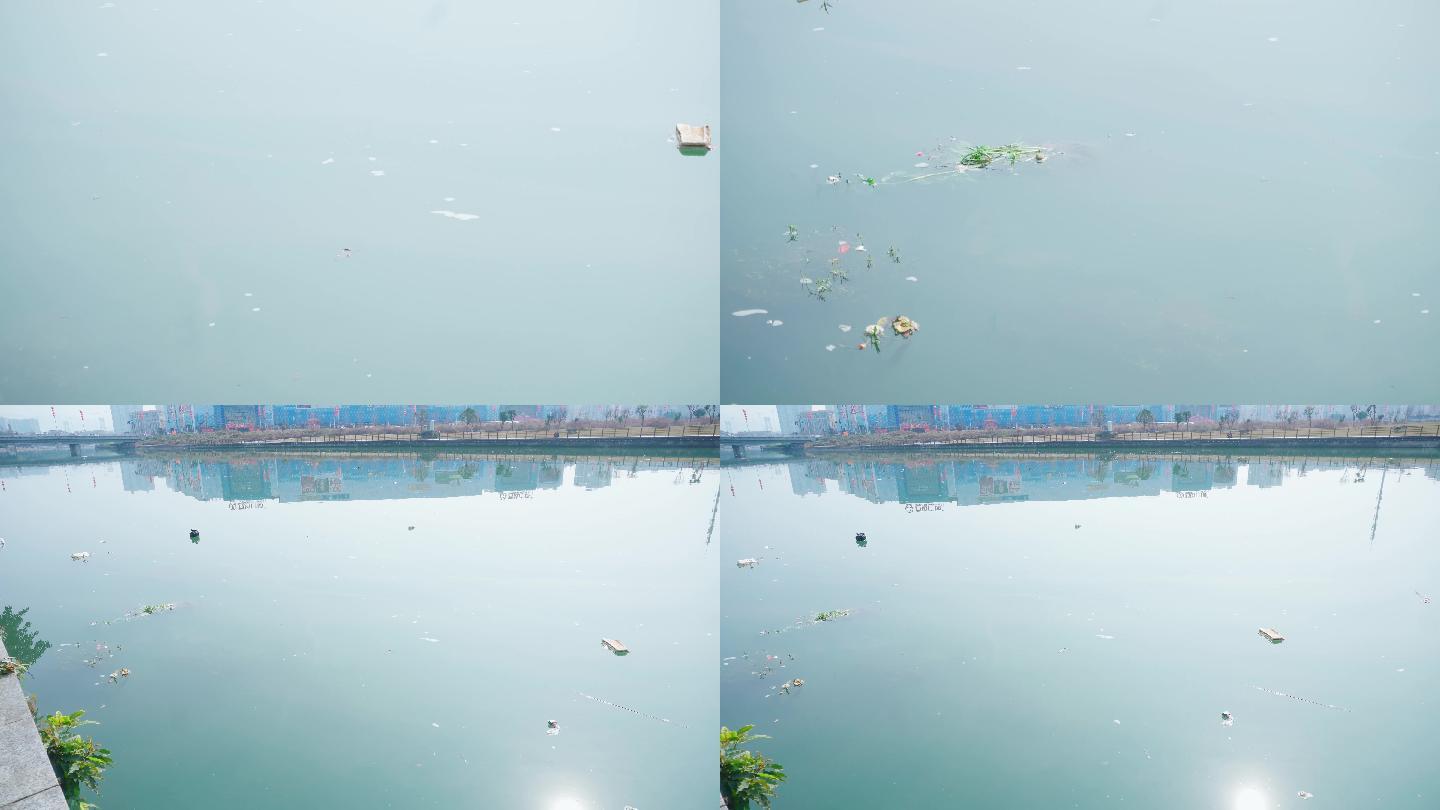 河面湖面上的垃圾4K环保