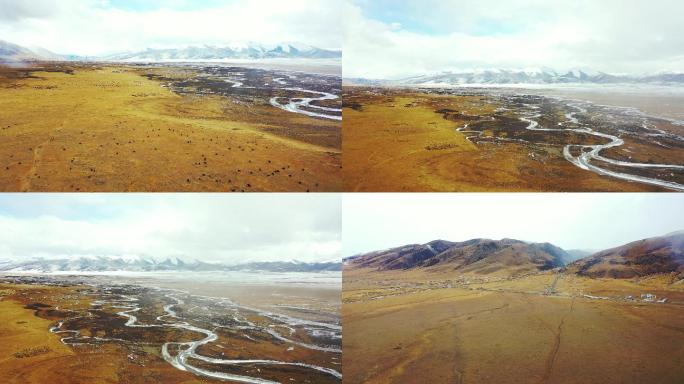 藏区冬季高原牧场
