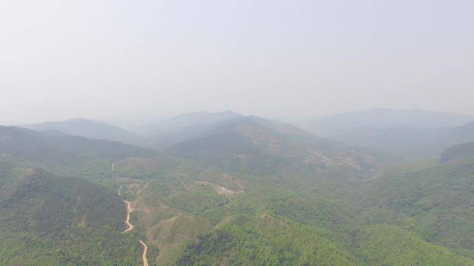 五指山热带雨林